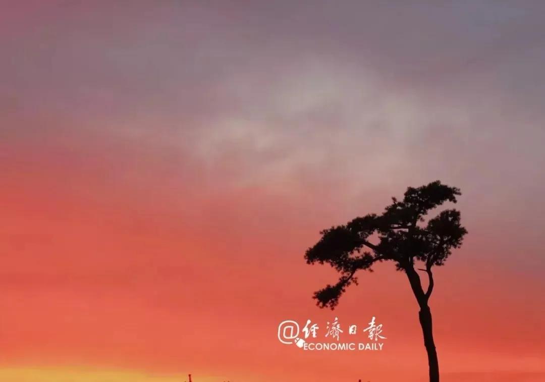 中国疫情最新消息与大自然呼唤下的心灵之旅