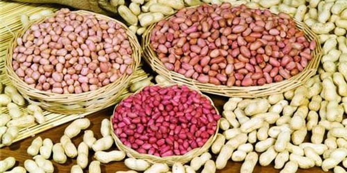 花生米最新价格概览,市场走势、影响因素与案例分析