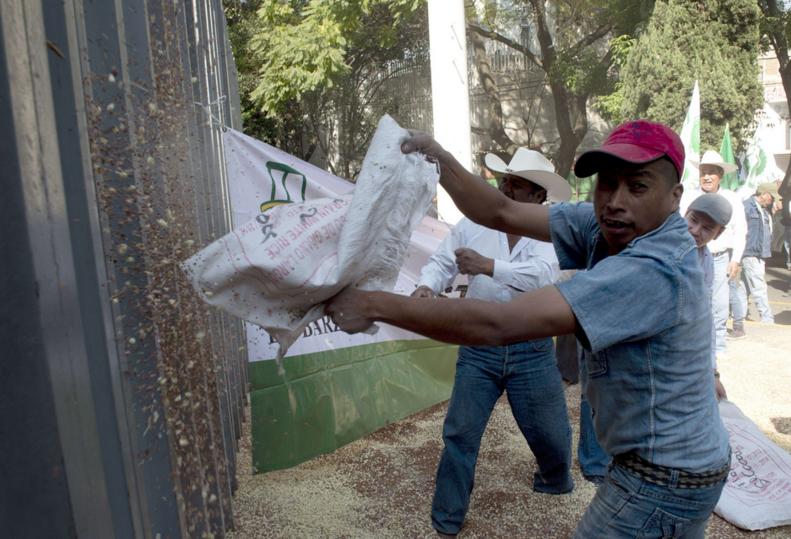 高粱最新价格概览,市场走势、影响因素与预测分析全解析
