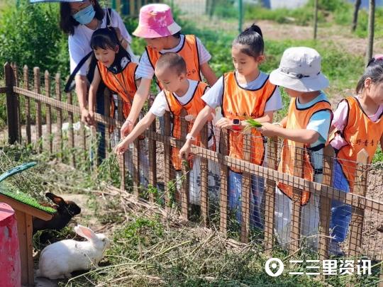 骏马最新知识及技能学习指南,详细步骤引领你掌握骏马相关知识与技能