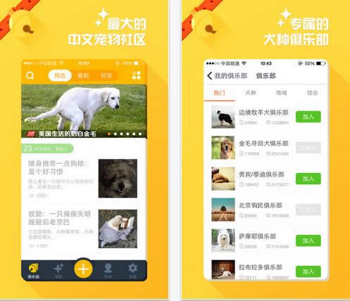 千百橹最新网站下载，欢笑与爱的下载之旅启程
